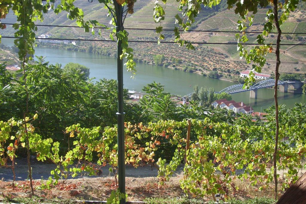 Vila Quinta Da Galeira Pinhão Pokoj fotografie