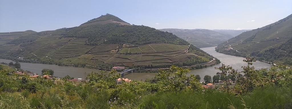 Vila Quinta Da Galeira Pinhão Exteriér fotografie